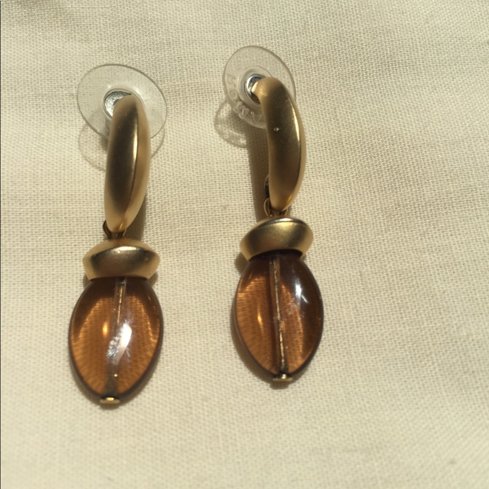 Gold and Brown Earrings